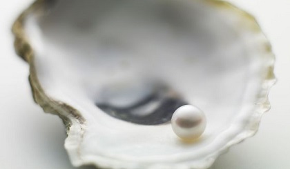 Woman bites into an oyster and finds 51 pearls